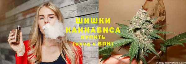 ГАЛЛЮЦИНОГЕННЫЕ ГРИБЫ Няндома