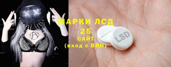 мдпв Галич