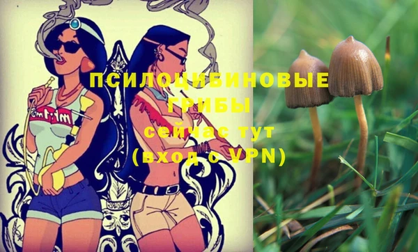 ГАЛЛЮЦИНОГЕННЫЕ ГРИБЫ Няндома