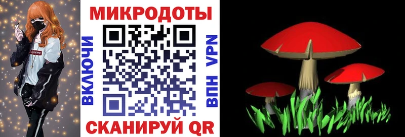Галлюциногенные грибы Psilocybe ОМГ ОМГ tor Духовщина
