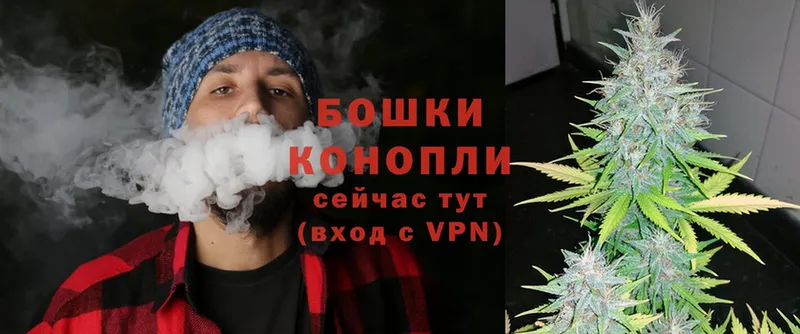 Бошки Шишки OG Kush  Духовщина 